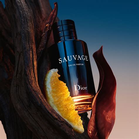 dior sauvage eau de parfum prix